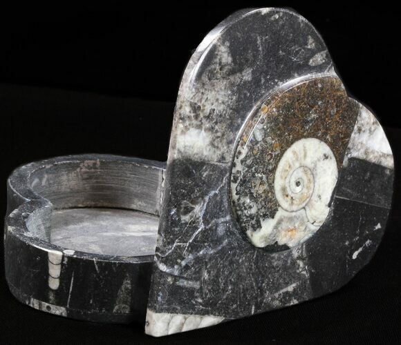 Heart-Shaped Fossil Goniatites Box - (Black) #38002